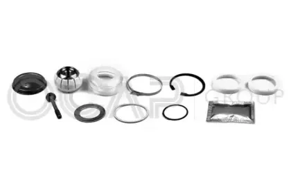 ocap-0907533