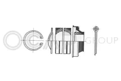 ocap-0907602