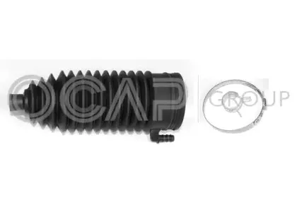ocap-0908099