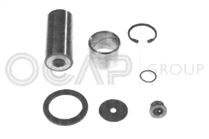 ocap-0927409
