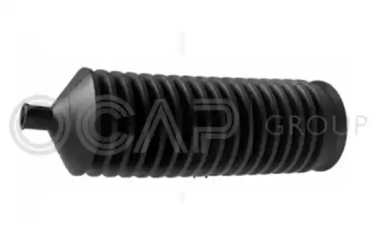 ocap-1211094
