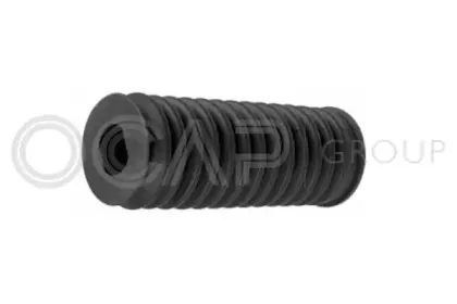 ocap-1211294