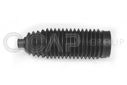 ocap-1211329
