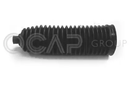 ocap-1211369