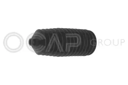 ocap-1211380