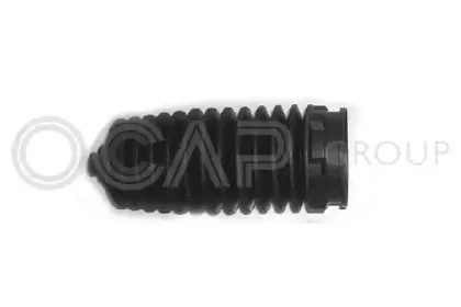 ocap-1211622