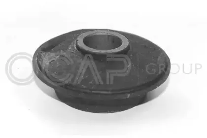 1215110 OCAP