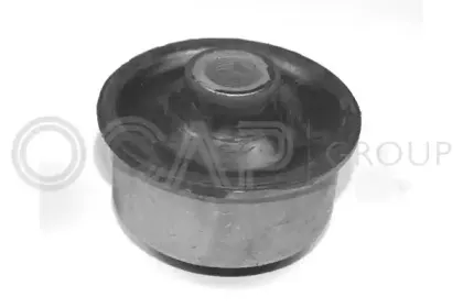 1215120 OCAP