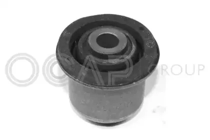 1215162 OCAP