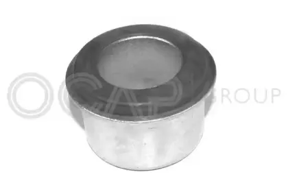 ocap-1215271