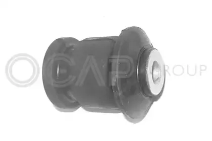 1215560 OCAP