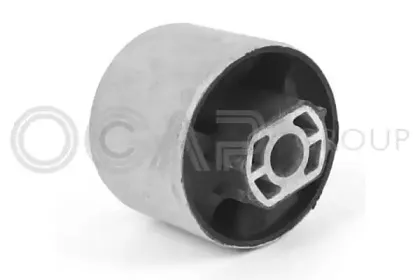 ocap-1216070