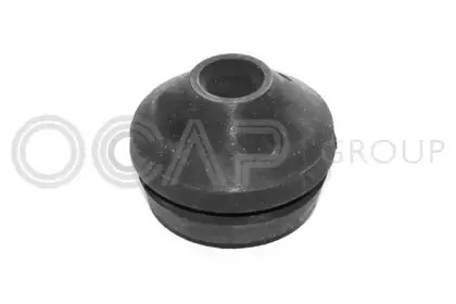 ocap-1225002