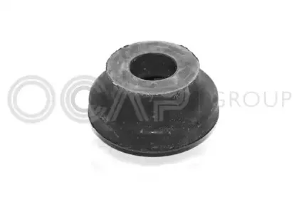 ocap-1225069