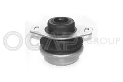 1225150 OCAP