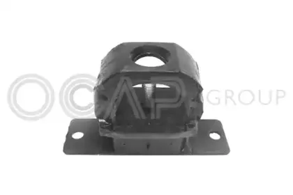 ocap-1225172