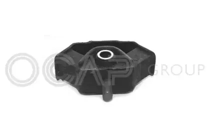 ocap-1225246
