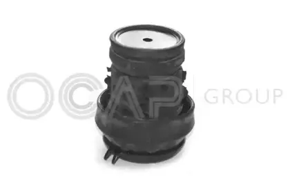 1225500 OCAP