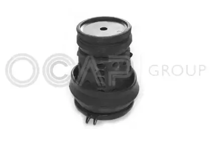 ocap-1225504