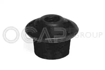 ocap-1225893