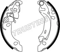 034.107 TRUSTING