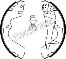 046.208 TRUSTING