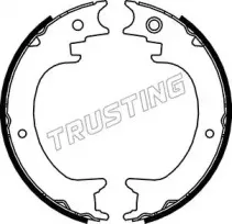 110.339 TRUSTING