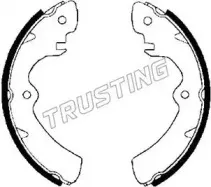 111.223 TRUSTING