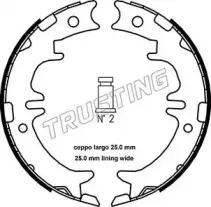 115.311 TRUSTING