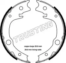 115.315 TRUSTING