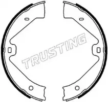124.289 TRUSTING Комплект тормозных колодок, стояночная тормозная система