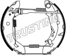 6450 TRUSTING Комплект тормозных колодок