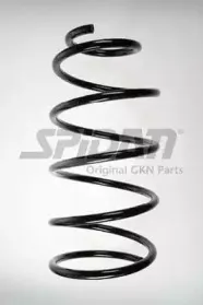 spidan-49447