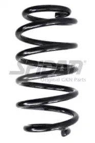 spidan-49014