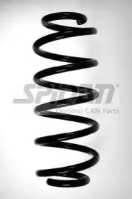 spidan-49494