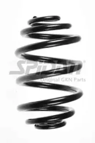 spidan-48072
