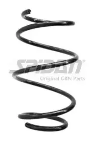 spidan-56967