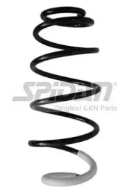 spidan-86804
