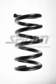 spidan-55357