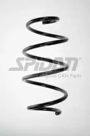 spidan-55397