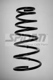 spidan-55495