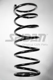 spidan-48994