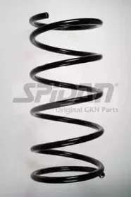 spidan-55784