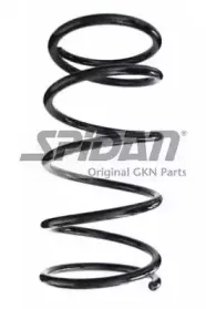 spidan-55852