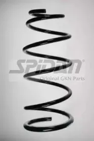 spidan-55893
