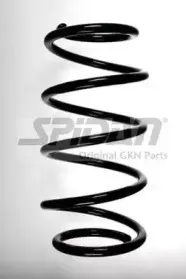 spidan-48495