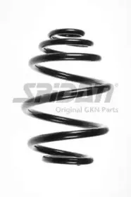 spidan-55957