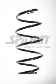 spidan-55965