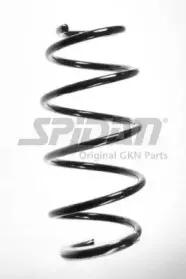 spidan-55966