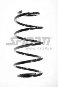 spidan-55981
